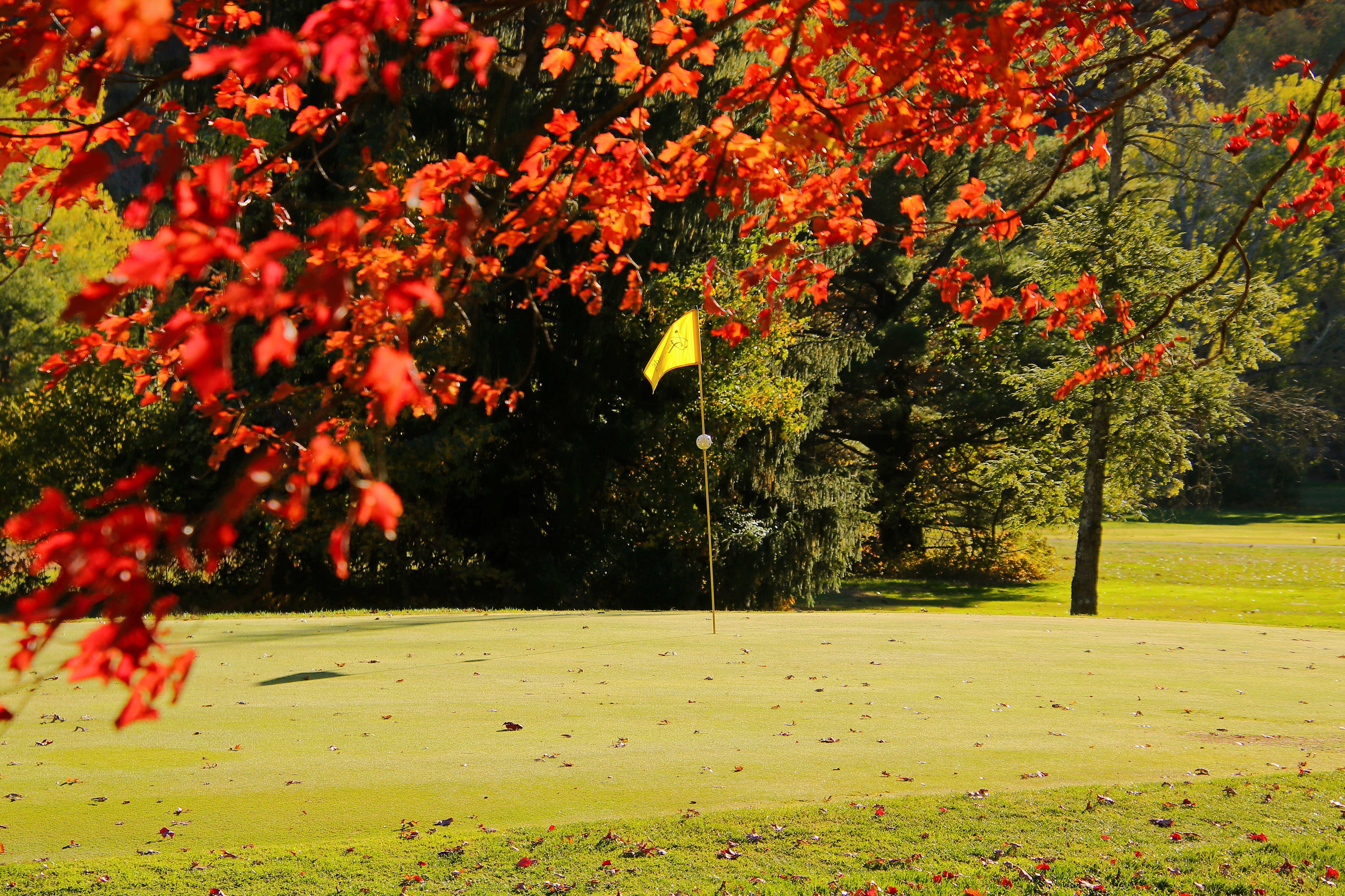 Yellow flag on golf course green surrounded by autumnal trees